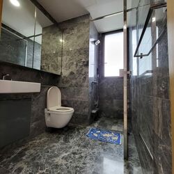 Skyline Residences (D4), Condominium #577938161